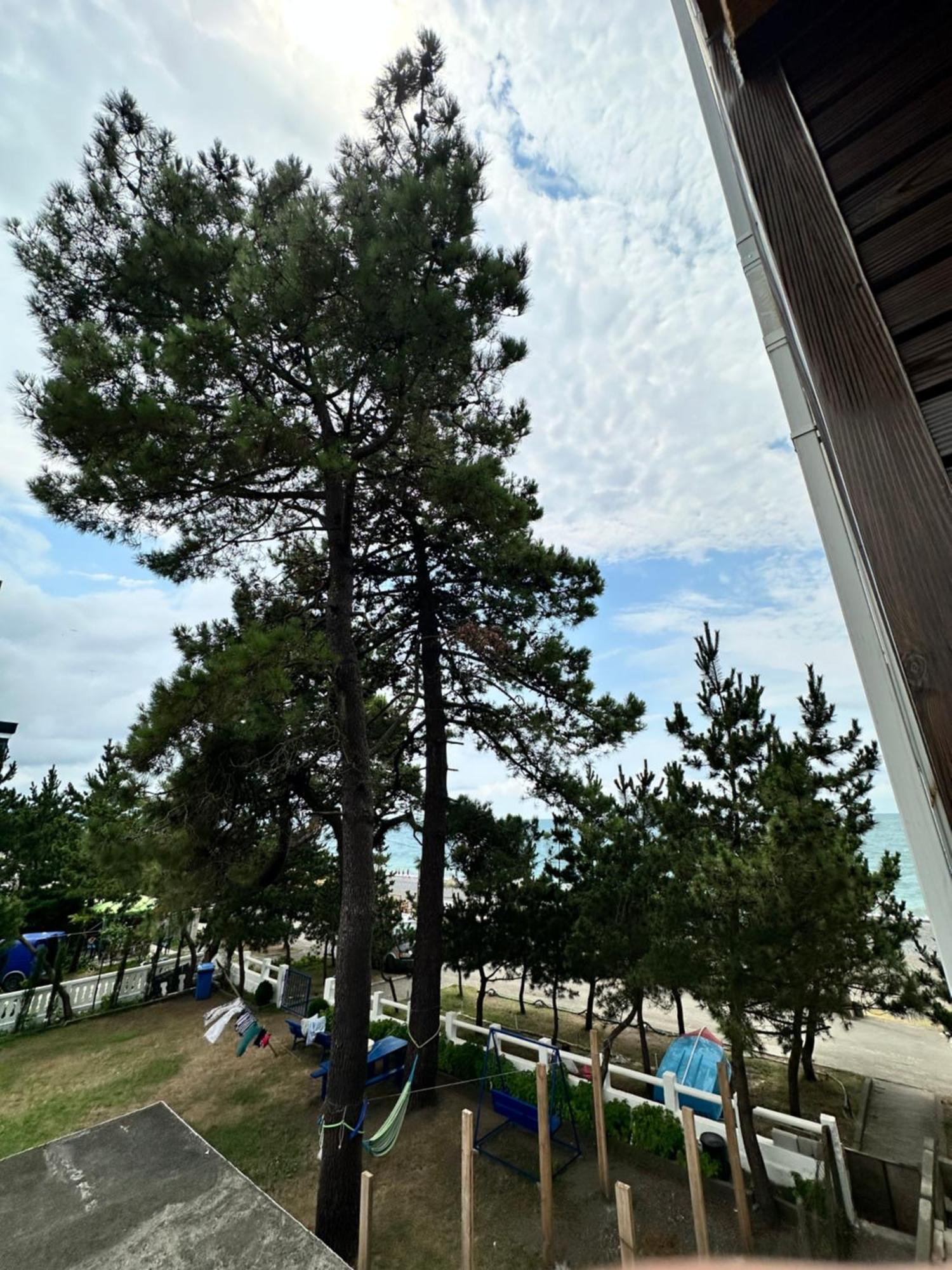 Hotel Black Sea コブレチ エクステリア 写真
